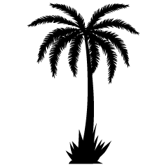 One Palm Tree Black and White