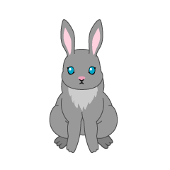 Frente de conejo gris