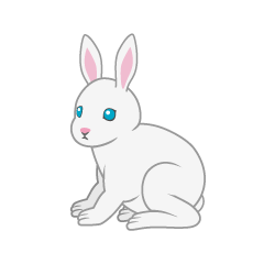 Conejo