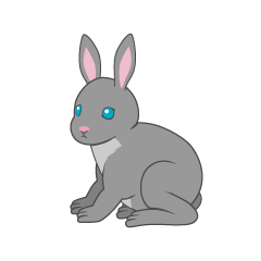 Conejo gris