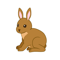 Conejo marrón