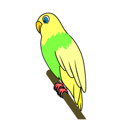 Yellow Parakeet