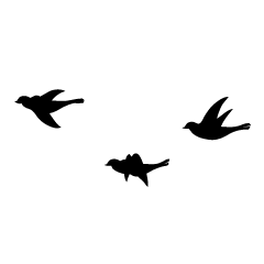Flying Birds Black and White