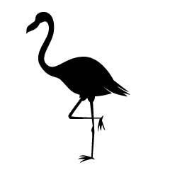 Flamingo Black and White