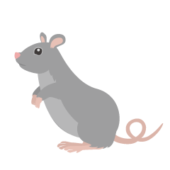 Standing Mouse