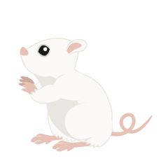 Looking up White Mouse