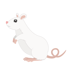 Standing White Mouse