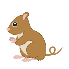 Sitting Brown Mouse