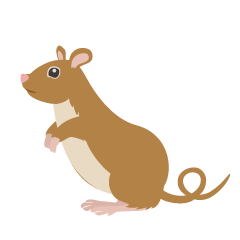 Standing Brown Mouse