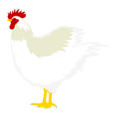 Chicken from Side
