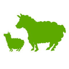 Green Parent and Child Sheep