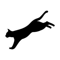 Silueta de gato de aterrizaje