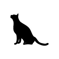 Looking up Cat Silhouette