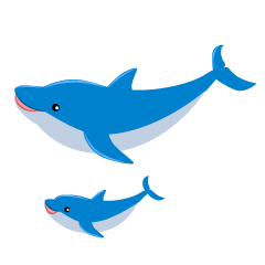 Delfín de padre e hijo