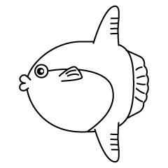 Sunfish Black and White