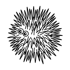 Sea Urchin Black and White