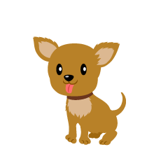 Cute Brown Chihuahua Dog