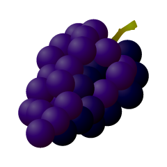 Dark Purple Grape