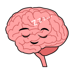 Sleeping Brain