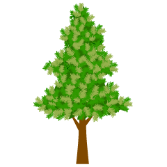 Fir Tree