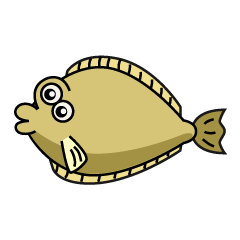 Cute Flounder