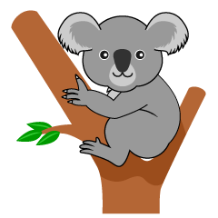 Koala Sitting