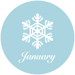 Snowflake January