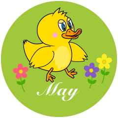 Duck May