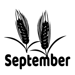 Wheat September