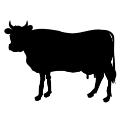 Cow Looking Silhouette
