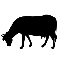Cow Eating Silhouette