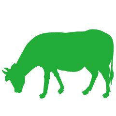 Cow Eating Green Silhouette