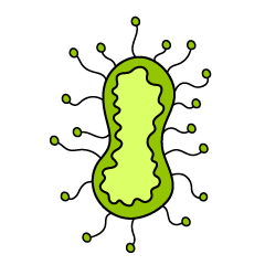 Bacteria with Many Tentacles