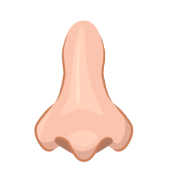 Male Nose
