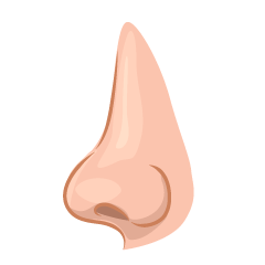 Side Nose
