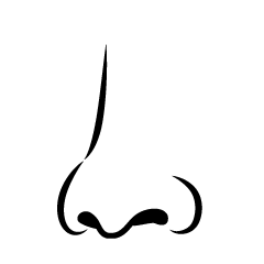 Nose Line Clip Art Free PNG Image｜Illustoon