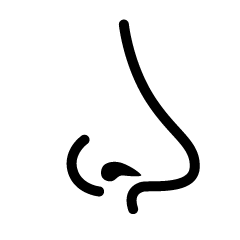 Side Nose Symbol