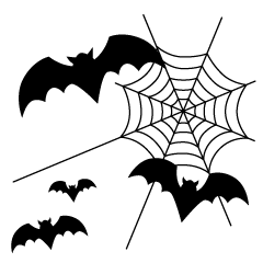 Spiderweb and Bats