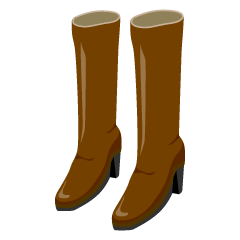 Long Brown Boots