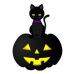 Black Cat on Black Pumpkin