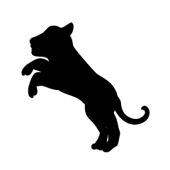 Child Tiger Jumping Silhouette