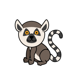 Cute Ring-Tailed Lemur