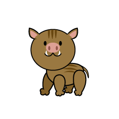 Cute Boar