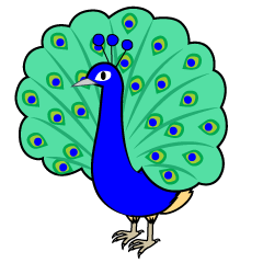 Cute Peacock