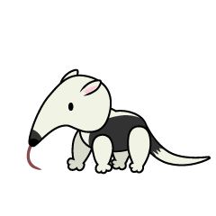 Cute Anteater