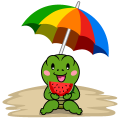 Turtle Eating Watermelon