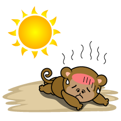 Heat Stroke in Monkey
