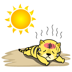 Heat Stroke in Tiger