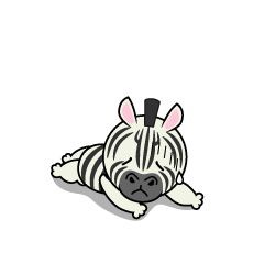Tired Zebra