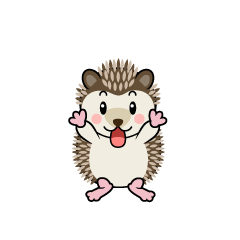 Excited Hedgehog